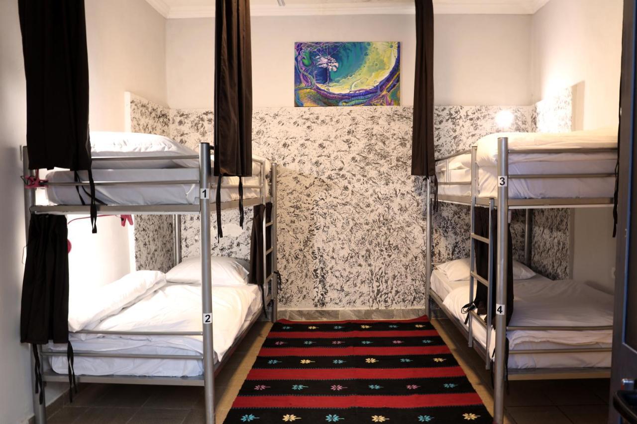 Hoja Hostel ティラナ エクステリア 写真
